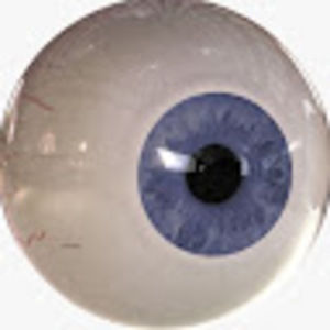 Meet your Posher, Real